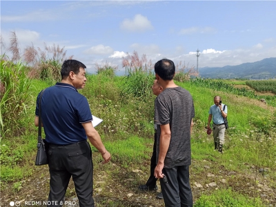 湖北十堰500頭牛場(chǎng)現(xiàn)場(chǎng)規(guī)劃中
