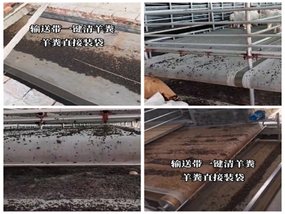 羊場皮帶清糞機(jī)使用視頻