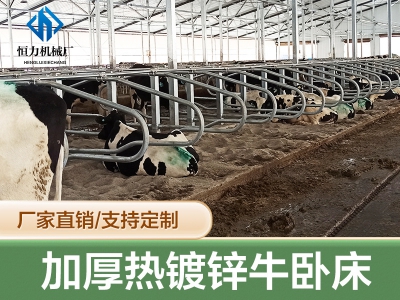 奶牛舍牛臥床現(xiàn)場使用