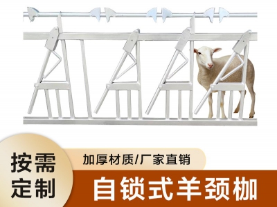 羊頸夾做法圖解教程