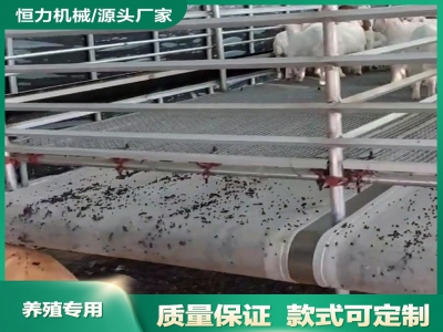 恒力羊糞輸送機(jī)提養(yǎng)殖效率節(jié)省人工成本