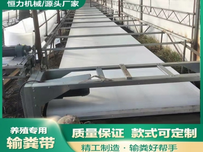 為什么羊場(chǎng)帶式清糞機(jī)是當(dāng)代牧場(chǎng)管理的新寵
