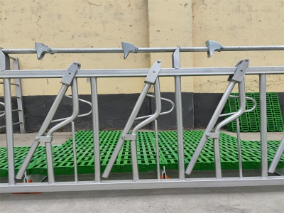 羊頸夾在養(yǎng)殖場的顯著作用