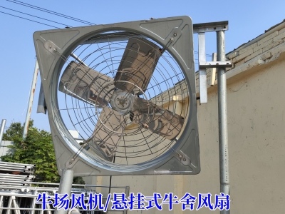 如何保持牛舍環(huán)境清新