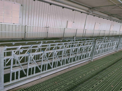 羊場用羊頸夾的作用解析