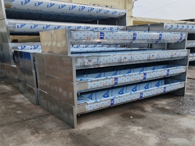 張老板和他的溫馨牧場：用愛呵護每一頭牛