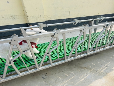  溫馨家庭的幸福時光：感受自在與平和的每一天