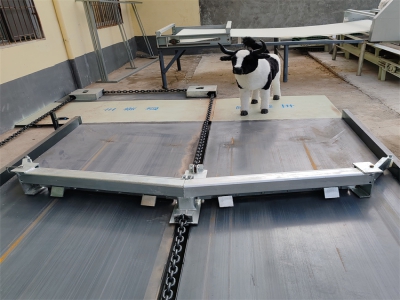 長期使用后牛場清糞機(jī)的輸送效率排查與優(yōu)化