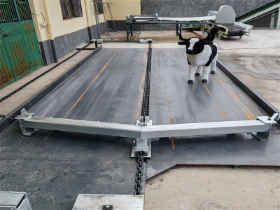 《牛場清糞機：無需人工清糞的時代》