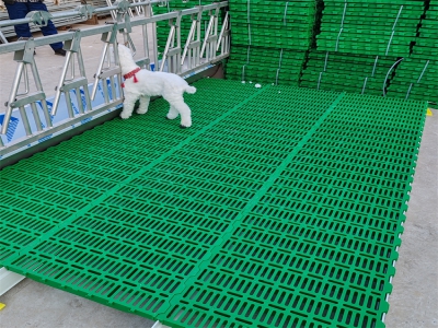 塑料漏糞板在長期使用中出現(xiàn)老化現(xiàn)象