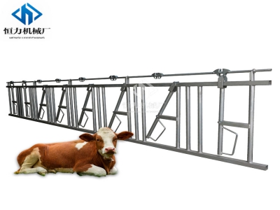 牛場使用牛頸枷的注意事項