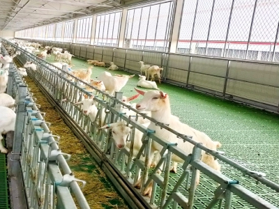 養(yǎng)殖行業(yè)都需要的管理利器