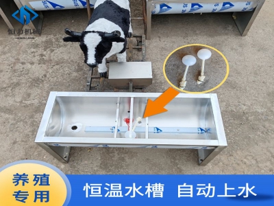 304不銹鋼恒溫飲水槽