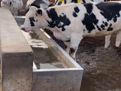 恒溫飲水槽使用年限久了，加熱效率明顯下降，從這些方面排查改進