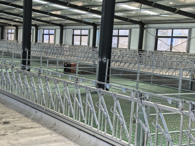 萬頭羊場(chǎng)使用熱鍍鋅羊頸夾的優(yōu)勢(shì)