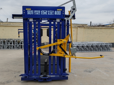 牛用保定枷的結(jié)構(gòu)設(shè)計與功能解析   